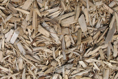 biomass boilers Munstone
